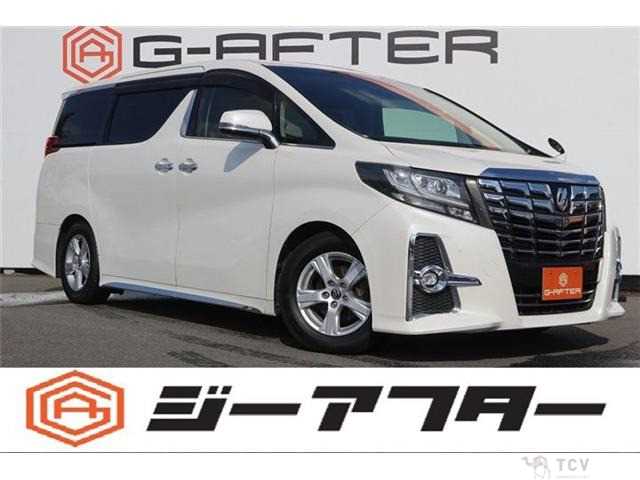 2015 Toyota Alphard G