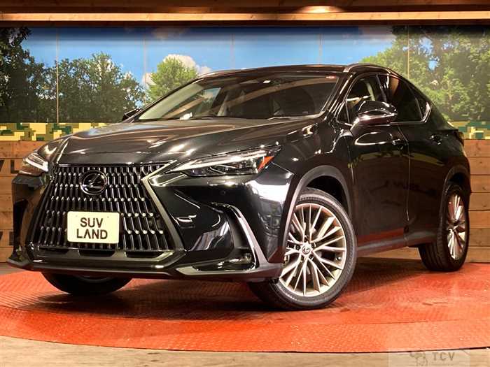 2023 Lexus NX