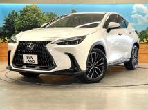 2023 Lexus NX