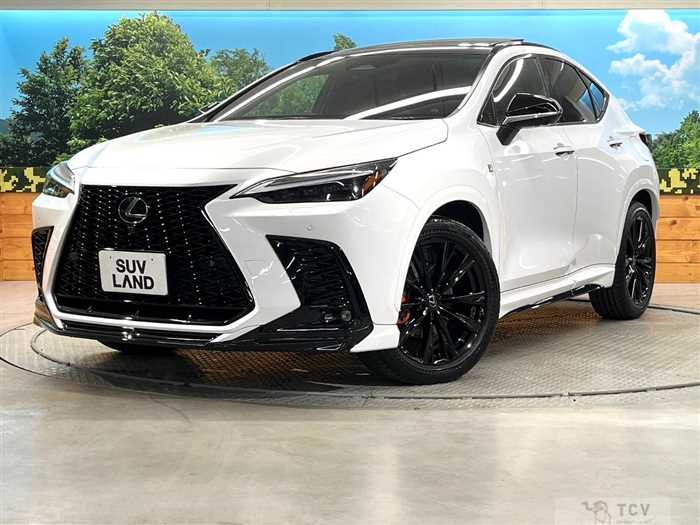2023 Lexus NX