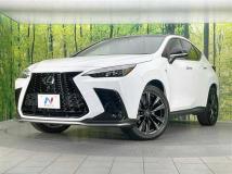 2022 Lexus NX