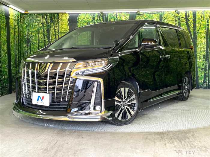 2019 Toyota Alphard