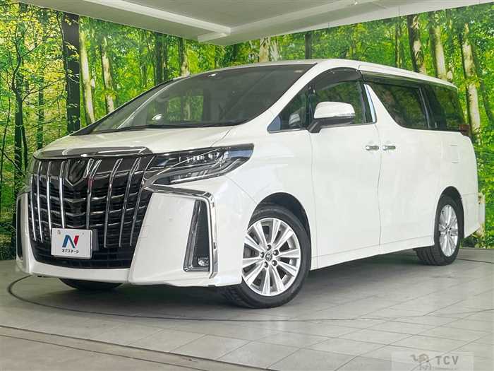 2019 Toyota Alphard