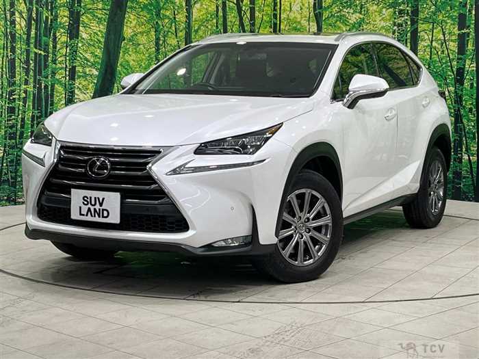 2017 Lexus NX