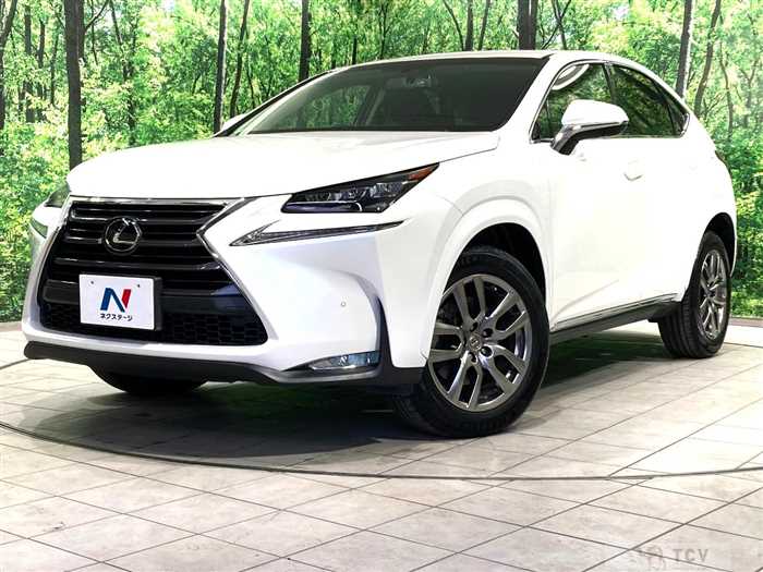 2017 Lexus NX