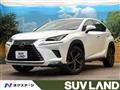 2019 Lexus NX