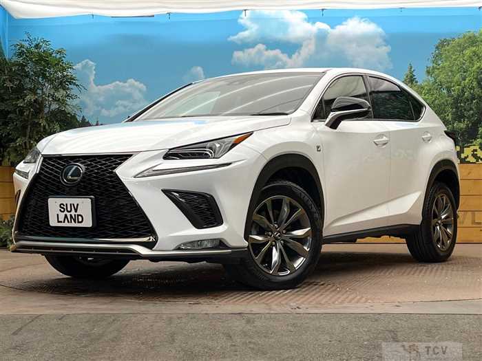 2019 Lexus NX