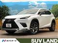 2019 Lexus NX