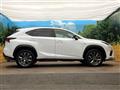 2019 Lexus NX