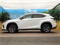 2019 Lexus NX