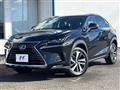 2019 Lexus NX