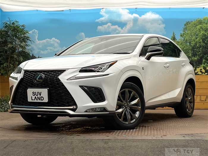 2020 Lexus NX