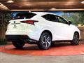 2020 Lexus NX