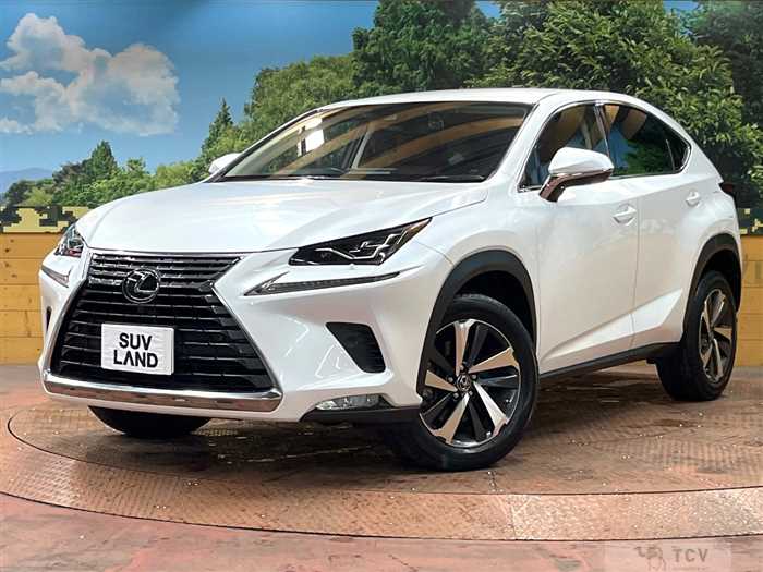 2019 Lexus NX