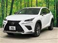2018 Lexus NX