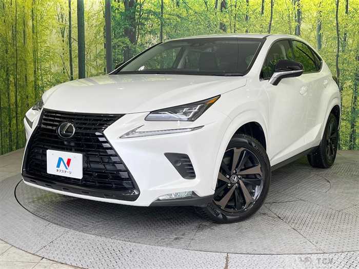 2018 Lexus NX