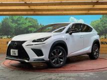 2019 Lexus NX