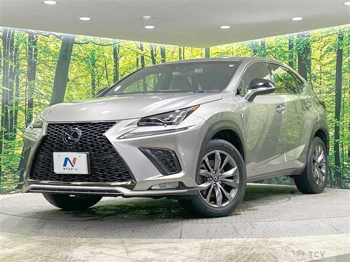 2019 Lexus NX