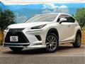 2019 Lexus NX