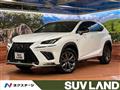 2018 Lexus NX