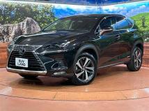 2018 Lexus NX