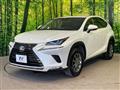 2019 Lexus NX