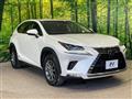 2019 Lexus NX
