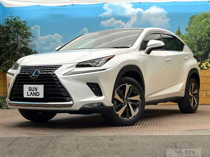 2020 Lexus NX