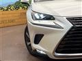 2020 Lexus NX