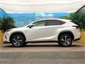 2020 Lexus NX