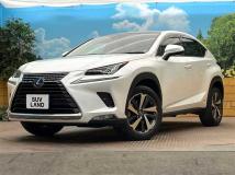 2020 Lexus NX