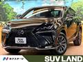 2021 Lexus NX