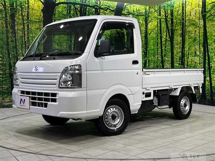 2020 Suzuki Carry Truck