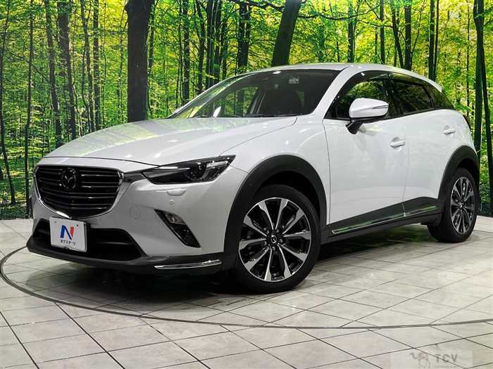 2019 Mazda CX-3