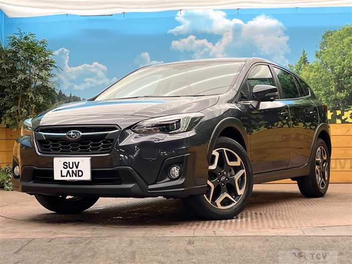 2019 Subaru Subaru Others