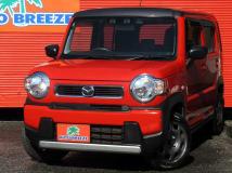 2020 Other All Other All