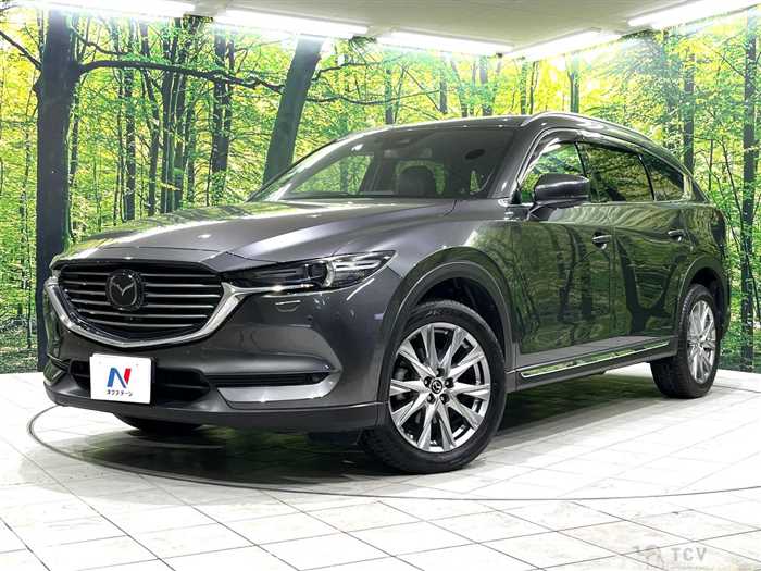 2018 Mazda CX-8