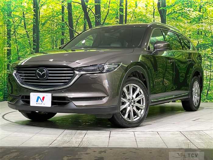 2018 Mazda CX-8