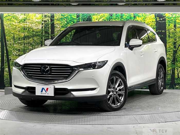 2019 Mazda CX-8