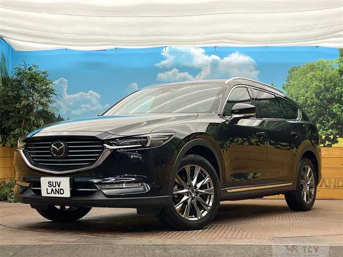 2019 Mazda CX-8