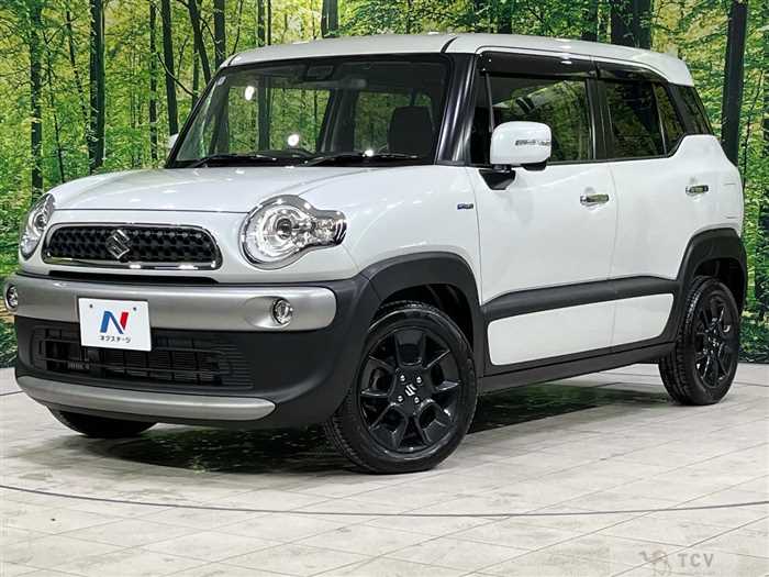 2018 Suzuki Suzuki Others