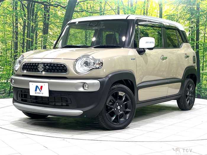 2019 Suzuki Suzuki Others