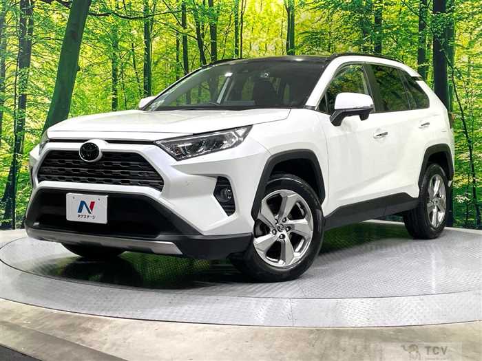 2019 Toyota RAV4