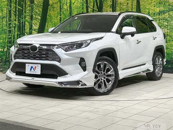 2019 Toyota RAV4