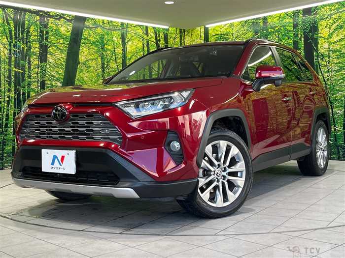2019 Toyota RAV4