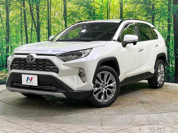 2020 Toyota RAV4