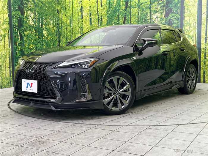 2018 Lexus Other