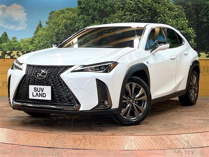 2019 Lexus Other