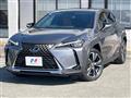 2019 Lexus Other