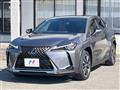 2019 Lexus Other
